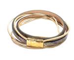 Leder mit vergoldetem Verschluss, beige-gold
